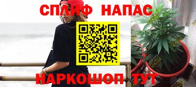 индика Шахты
