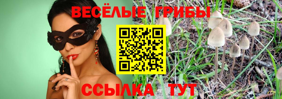 Ирбит  Галлюциногенные грибы Magic Shrooms  Вход с VPN 